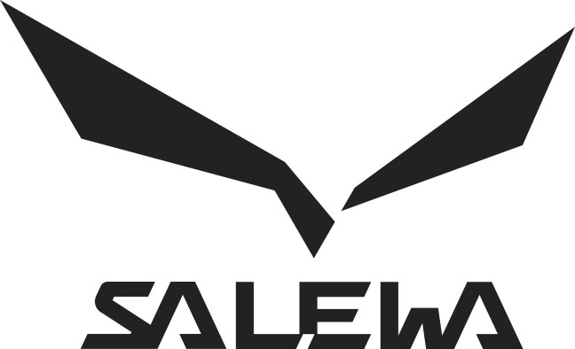 Salewa Logo_neu_77_100 black.jpg